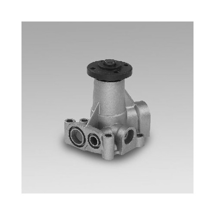 Vízpumpa HEPU P055