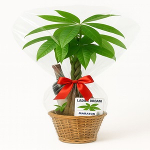 Pachete si cosuri cadou