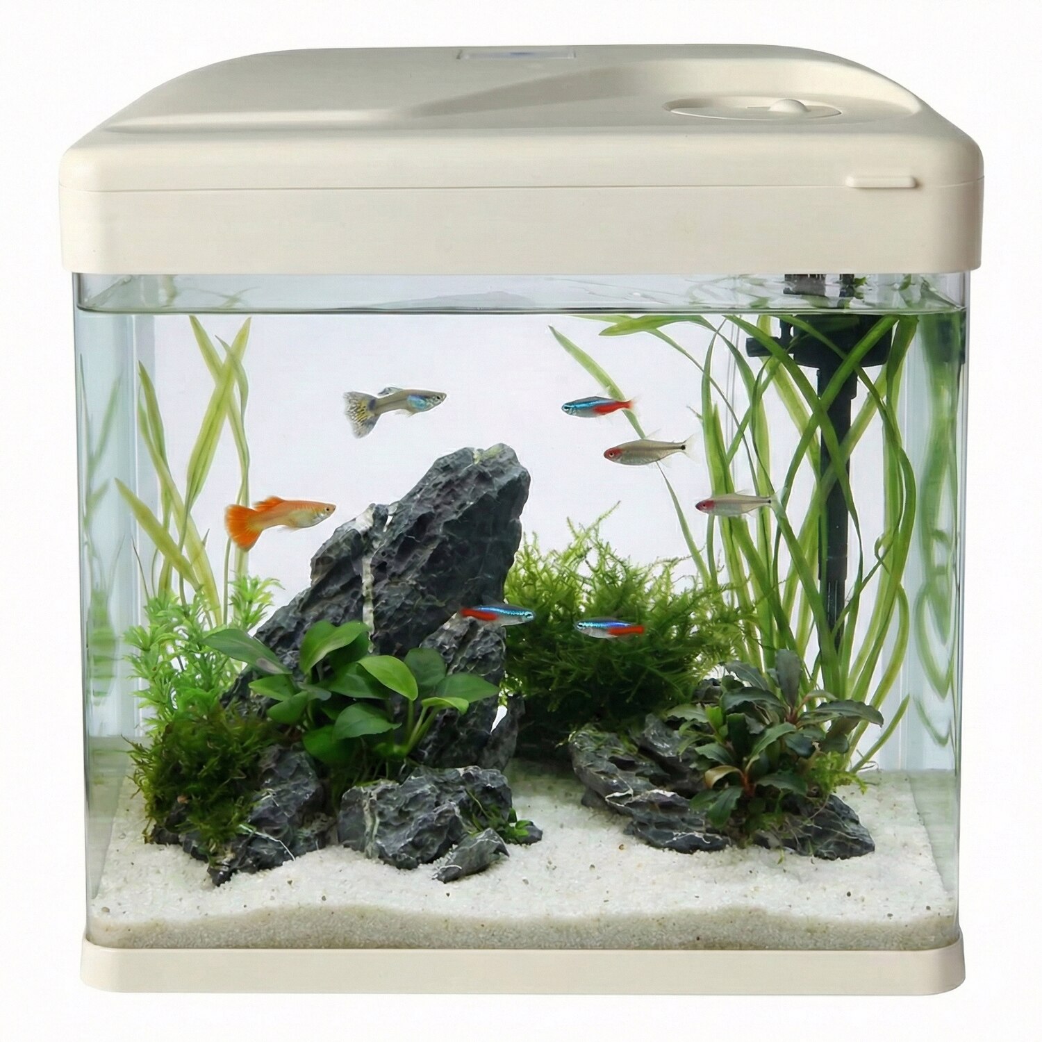 Acvariu Premium 7L cu Sticla Panoramica HD si Iluminare Ambientala LED ...