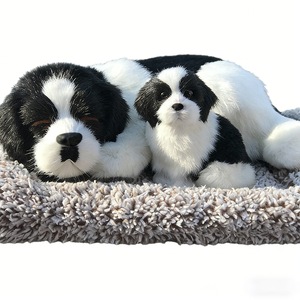 Accesorii auto tuning