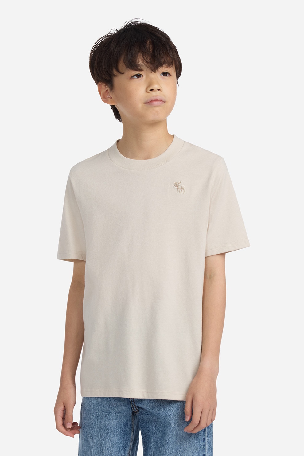 Abercrombie & Fitch, Tricou regular fit cu decolteu la baza gatului, Bej, 160-165 CM