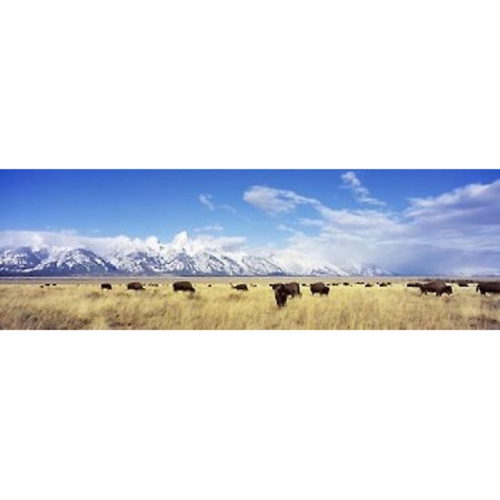 Costum unisex din spandex, 11 culori, 170cm, masti si costume carnaval