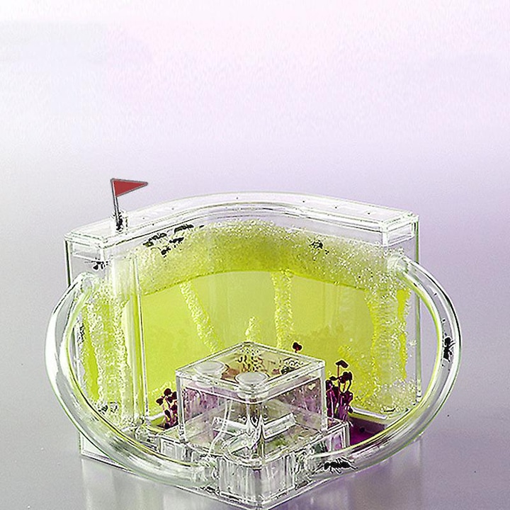 Set Habitat pentru Furnici, Ant Castle, Gel Nutritiv, Tuburi de Conectare, Jocuri Educative