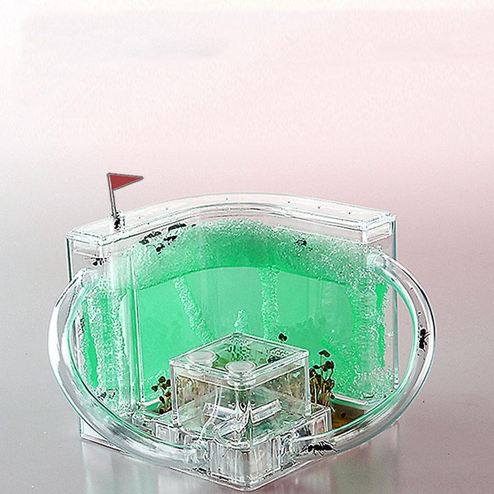 Set Habitat pentru Furnici, Ant Castle, Gel nutritiv, Tuburi de conectare, Verde