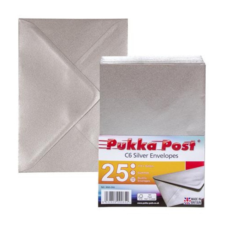 Plic, C6, siliconat, PUKKA PAD "Silver", argintiu