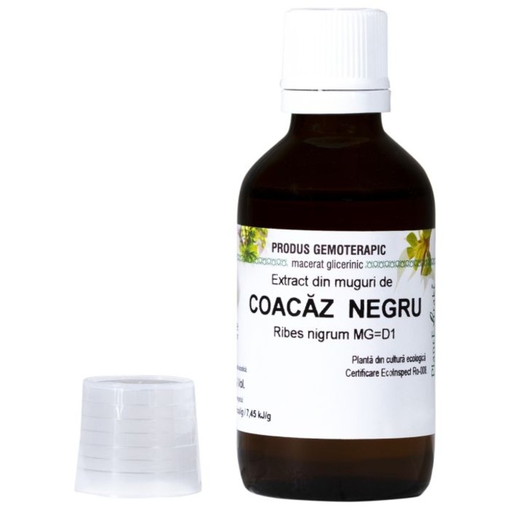Extract din mladite de Coacaz Negru 50 ml, sustine sistemul respirator si articulatiile, lichid