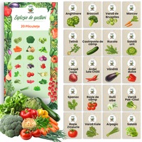 Seminte Toraf Explozia Gusturilor, set 20 pliculete legume anghinare, broccoli, varza de Bruxelles, morcov, castravete, rucola, salata, ceapa rosie, ardei chilli, vinete, kale, spanac, gulie, pak choi, arpagic, telina, rosii, ardei dulce pentru gradina