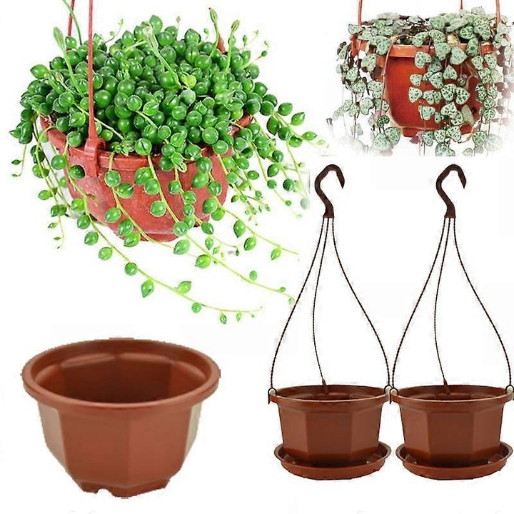 Ghiveci pentru flori, octogonal, material PP, culoare maro, dimensiuni 9.5x6x24cm