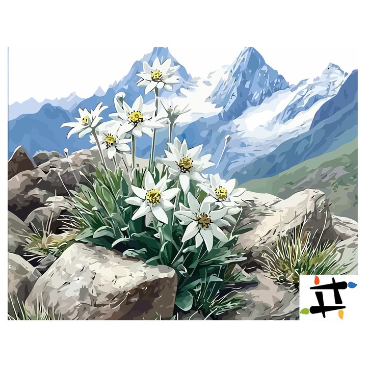 Set pictura pe numere Peisaj muntos cu flori 6480, panza bumbac pe rama lemn, 40x50 cm, tablou cu schita, 3 pensule si vopsea acrilica