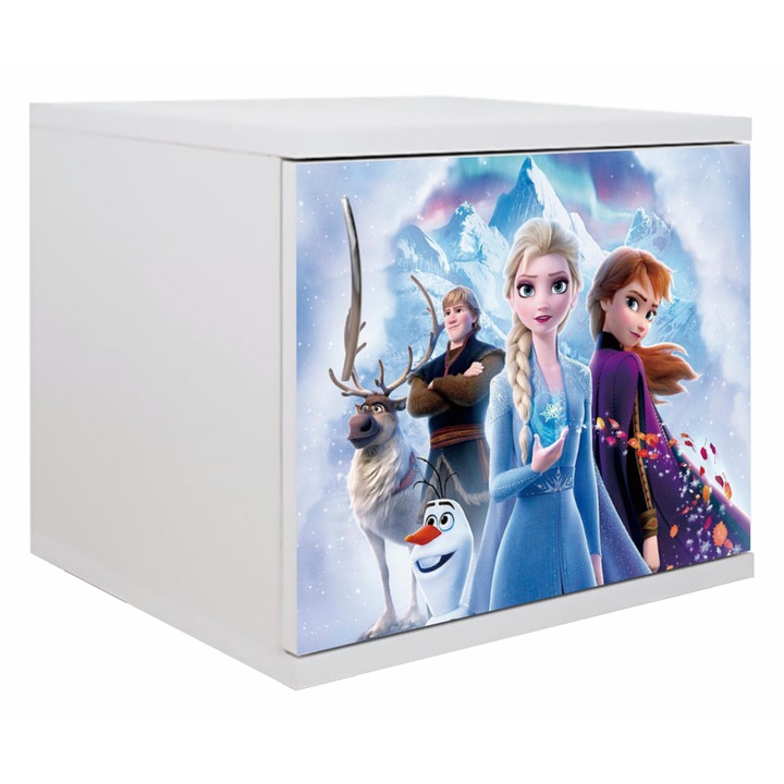 Noptiera Frozen, Ana si Elsa