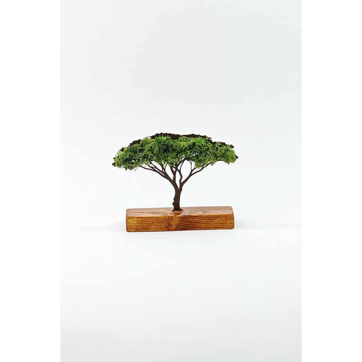 Decoratiune mobila Copac cu licheni naturali, Maro/Verde, Fetisshop, Dimensiune 14x13 cm