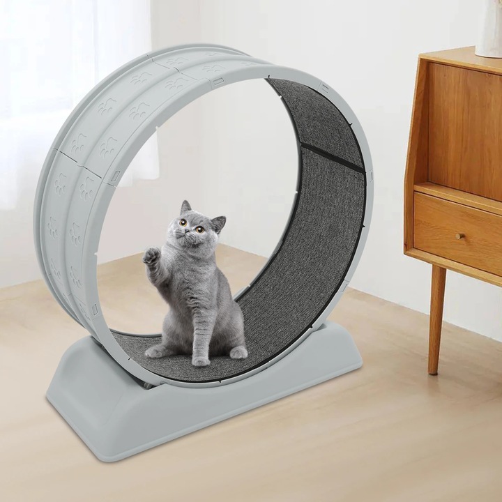 Roata de exercitii pentru pisici, 80 cm diametru, capacitate 10 kg, 79x34x84 cm, design ultra-silentios, sistem de siguranta