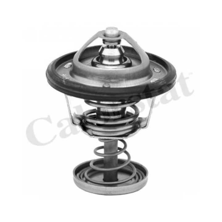 Termosztát, hűtőfolyadék CALORSTAT by Vernet TH6950.82J