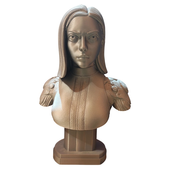 Бюст 3d Аниме Алита Боен Ангел 18 см