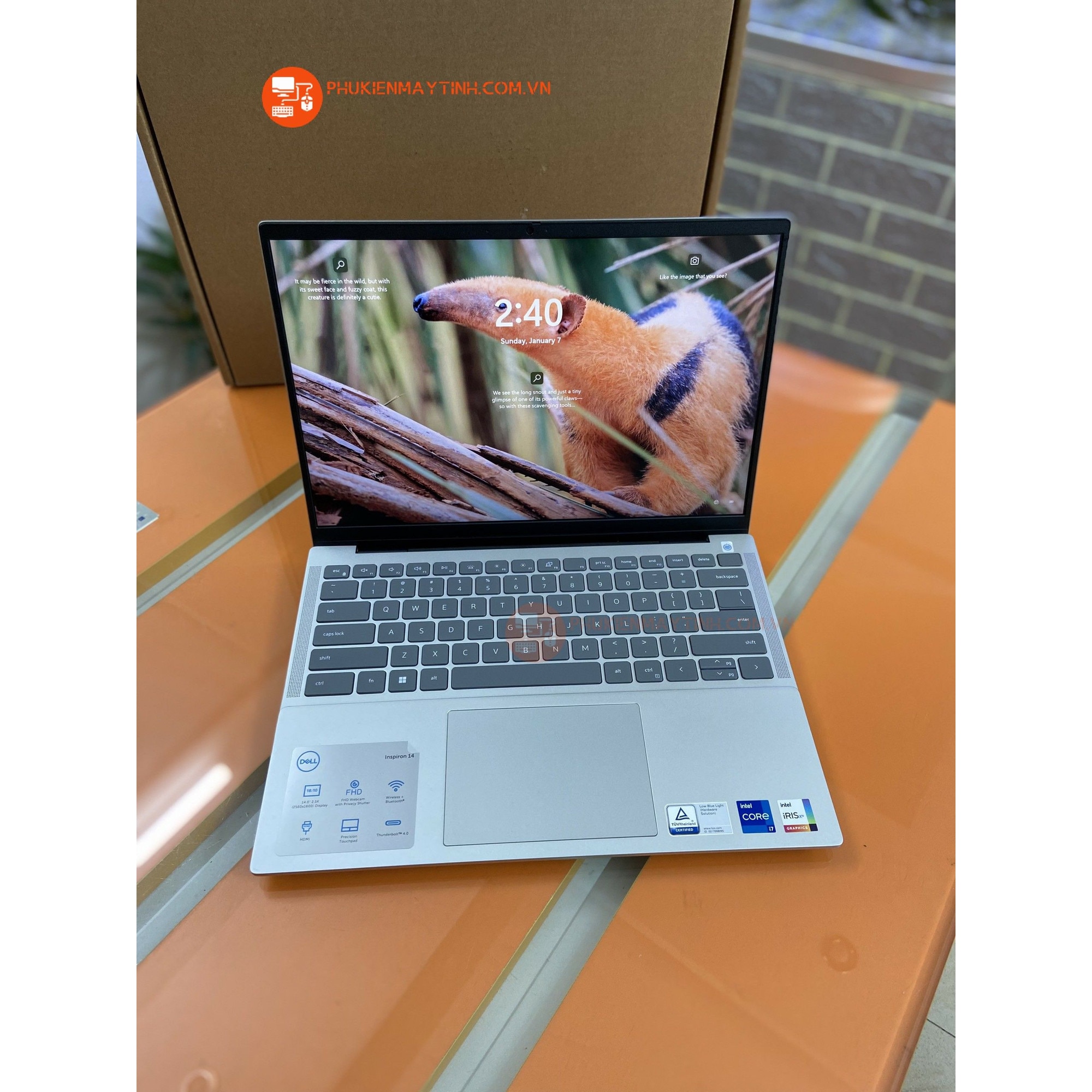 Laptop Dell 14 Plus, 14 inch 2560 x 1600 Touchscreen, Intel Ultra 7 258V 8 C / 8 T, 3.4 GHz - 4.8 GHz, 12 MB cache, 15 W, 32 GB RAM, 1 TB SSD, Intel Arc Graphics, Windows 11 Pro