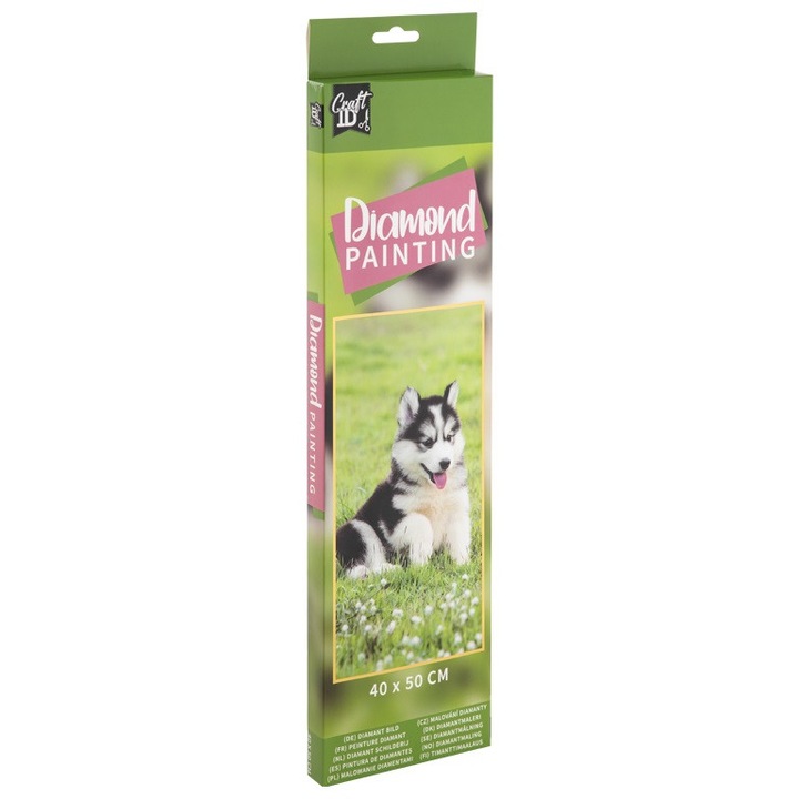 Tablou cu diamante - Catel in iarba, 40 x 50 cm