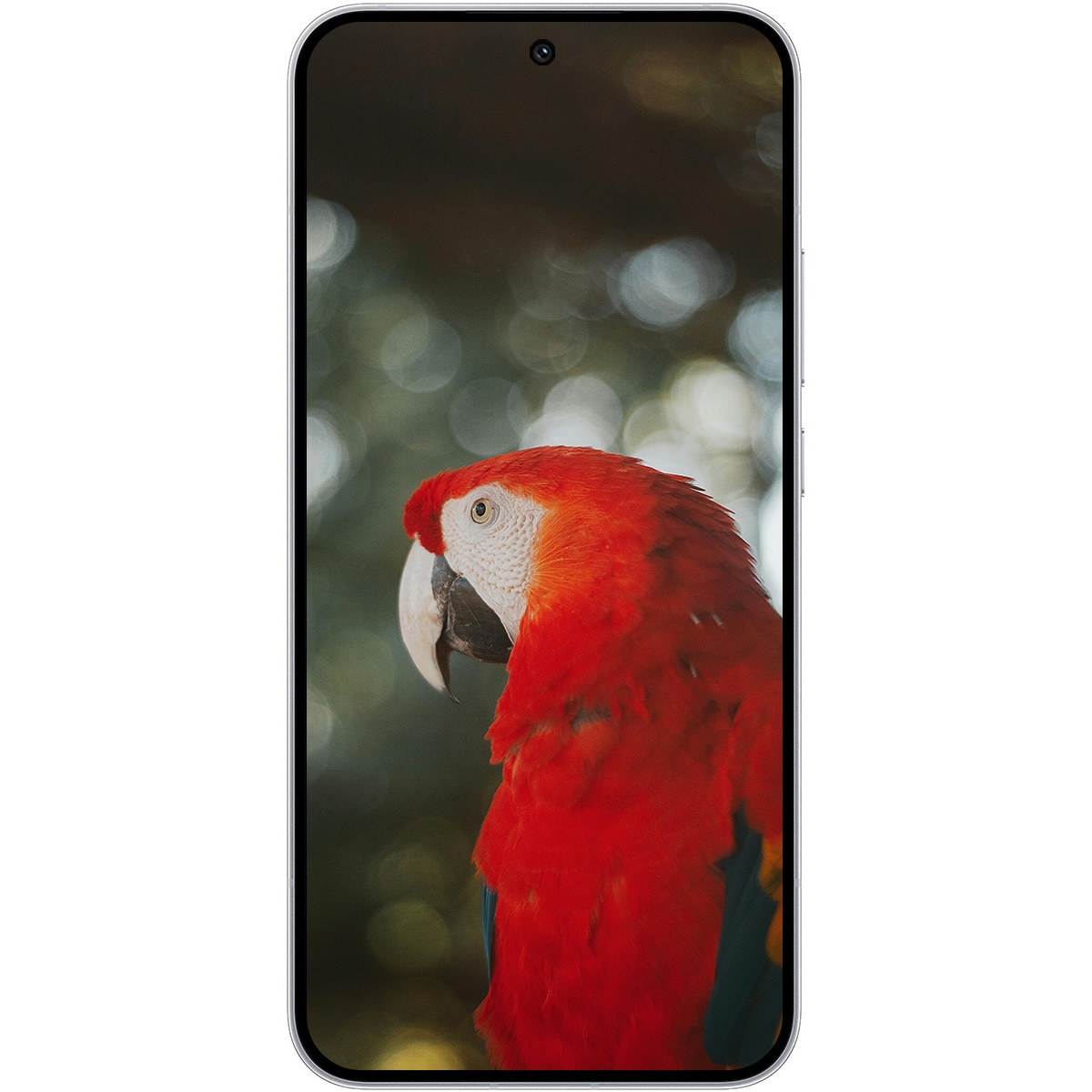 Telefon mobil Oppo Reno15, 8GB RAM, 512GB, 5G, alb aurora
