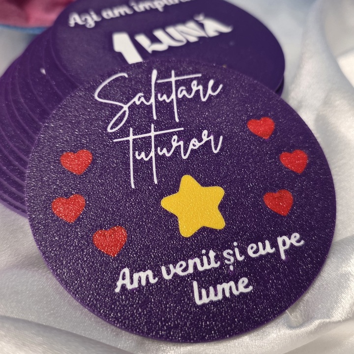 Placute foto „Primul An” pentru baieti / cadou baby shower / poze lunare bebelus / set 13 placute / print 3D PLA / diametru 9.5 cm