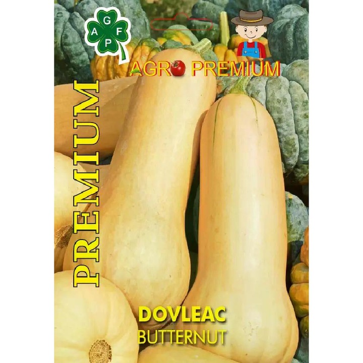 Seminte de dovleac placintar Butternut, 3 g, AgroFermier