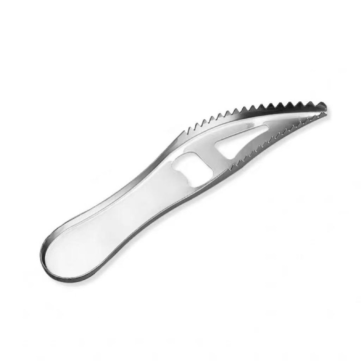 Rozsdamentes acél halpikkelyező, 19cm, ezüst