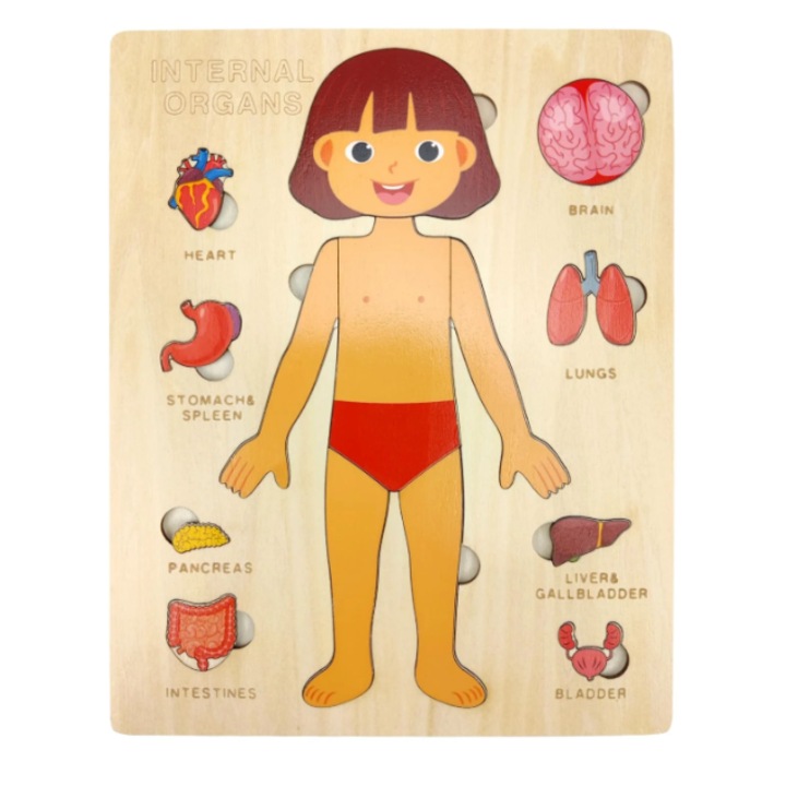 Puzzle Educativ din LEMN 3D Corpul Uman, Joc Montessori de Invatare a Anatomiei, Set de Constructie Interactiva din Lemn, Dezvoltare Cognitiva, Jucarie STEM, Material Didactic Premium, Cadou Fete si Baieti, 24x17cm, Multicolor, +6 ani
