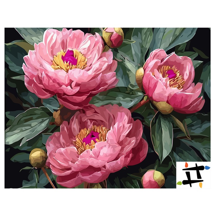 Set pictura pe numere Bujori roz 6499, panza bumbac pe rama lemn, 40x50 cm, tablou cu schita, 3 pensule si vopsea acrilica