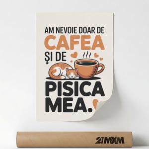 Accesorii decorative