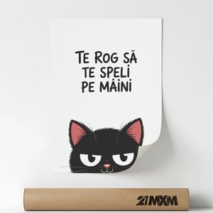 Accesorii decorative