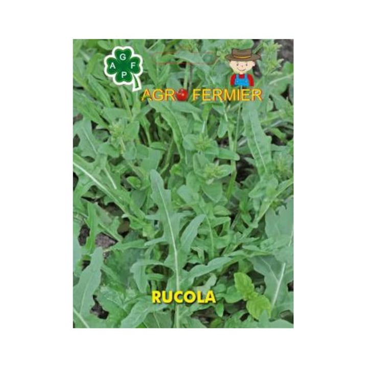 PACHET 5* Seminte de rucola RUCCOLA COLTIVATA, 4g, AgroFermier
