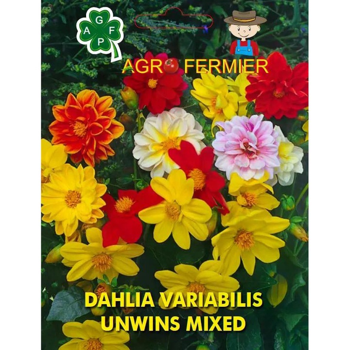 Seminte de flori - DAHLIA VARIABILIS, 0.4g, AgroFermier