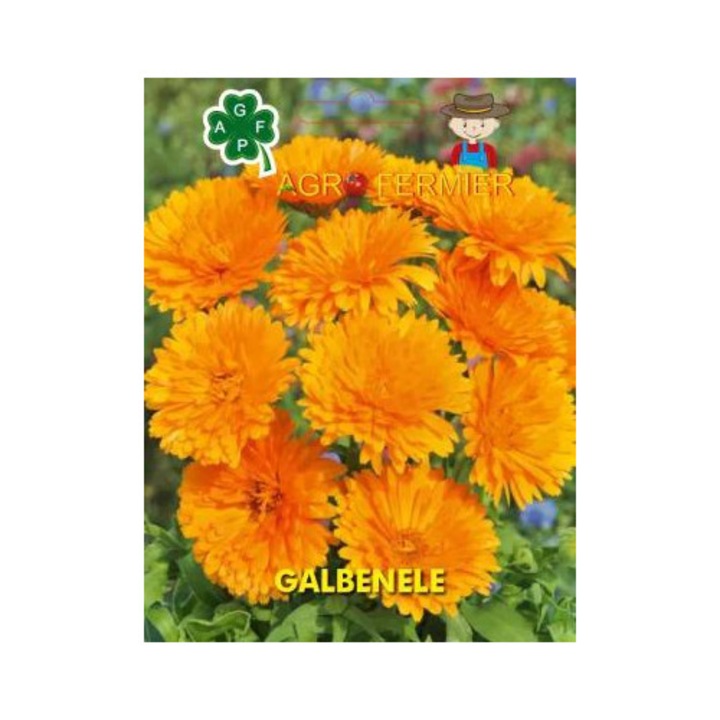 Seminte de flori - galbenele, 3g, AgroFermier