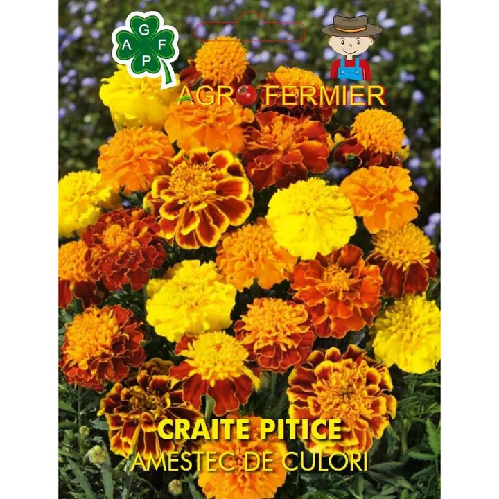 Seminte de flori -craite pitice, 1g, AgroFermier
