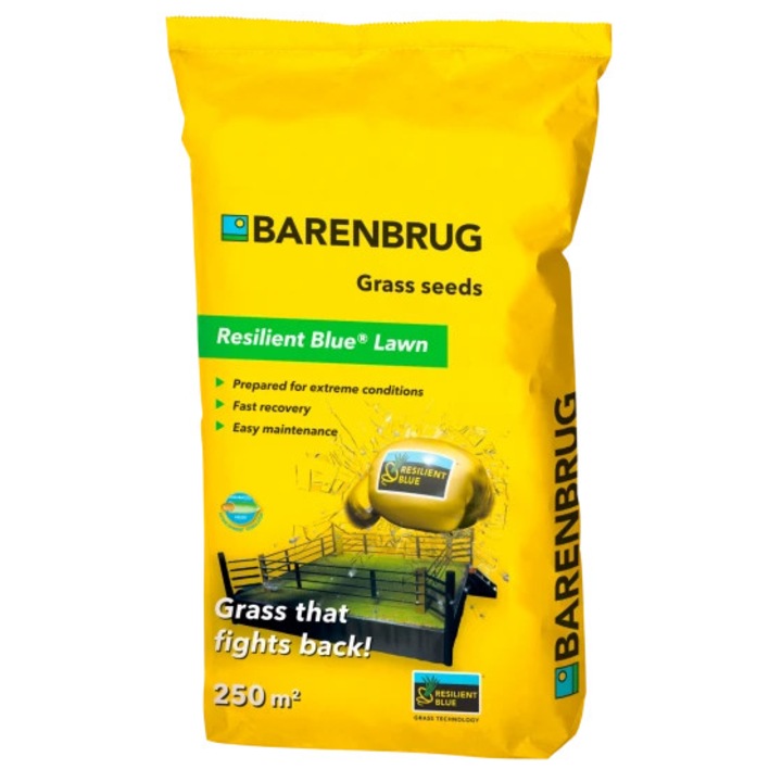 Seminte gazon Barenbrug Resilient Blue, 5 kg, toleranta ridicata la stres, recuperare rapida