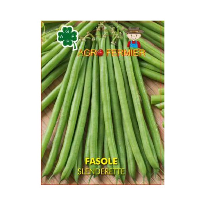 Seminte de fasole pitica verde Slenderette, 30g, teaca lunga, verde inchis, bob alb