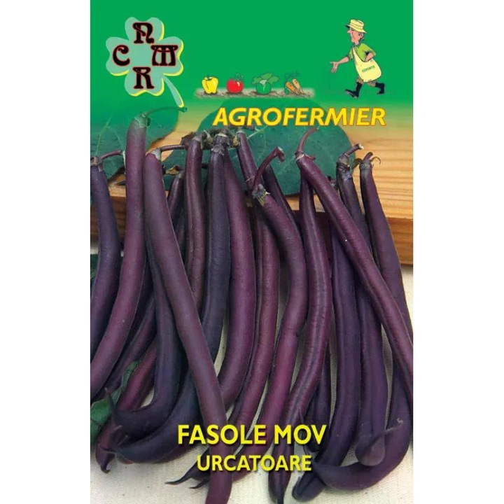 Seminte de fasole mov urcatoare, 25g, AgroFermier