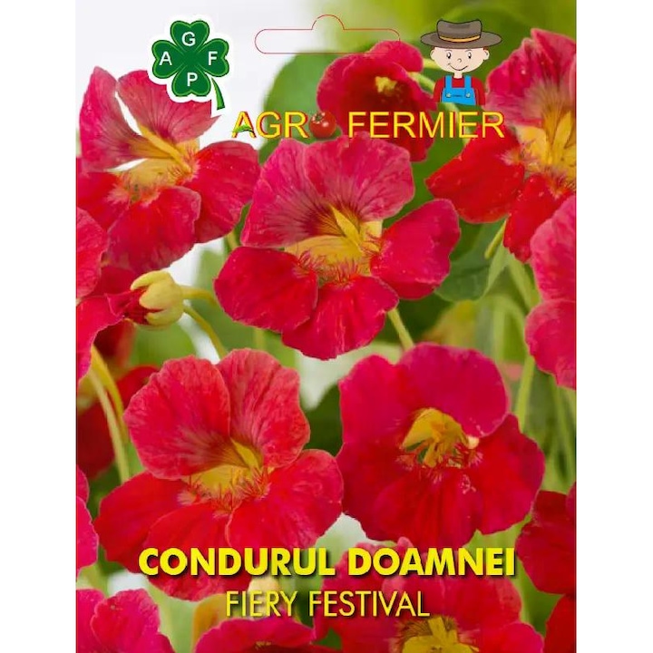 Seminte de flori Condurul Doamnei, 2 g