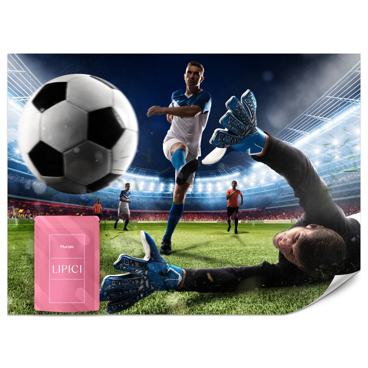 Fototapet Muralo Fotbal Meci 450x315 Portar Sport Pentru Living