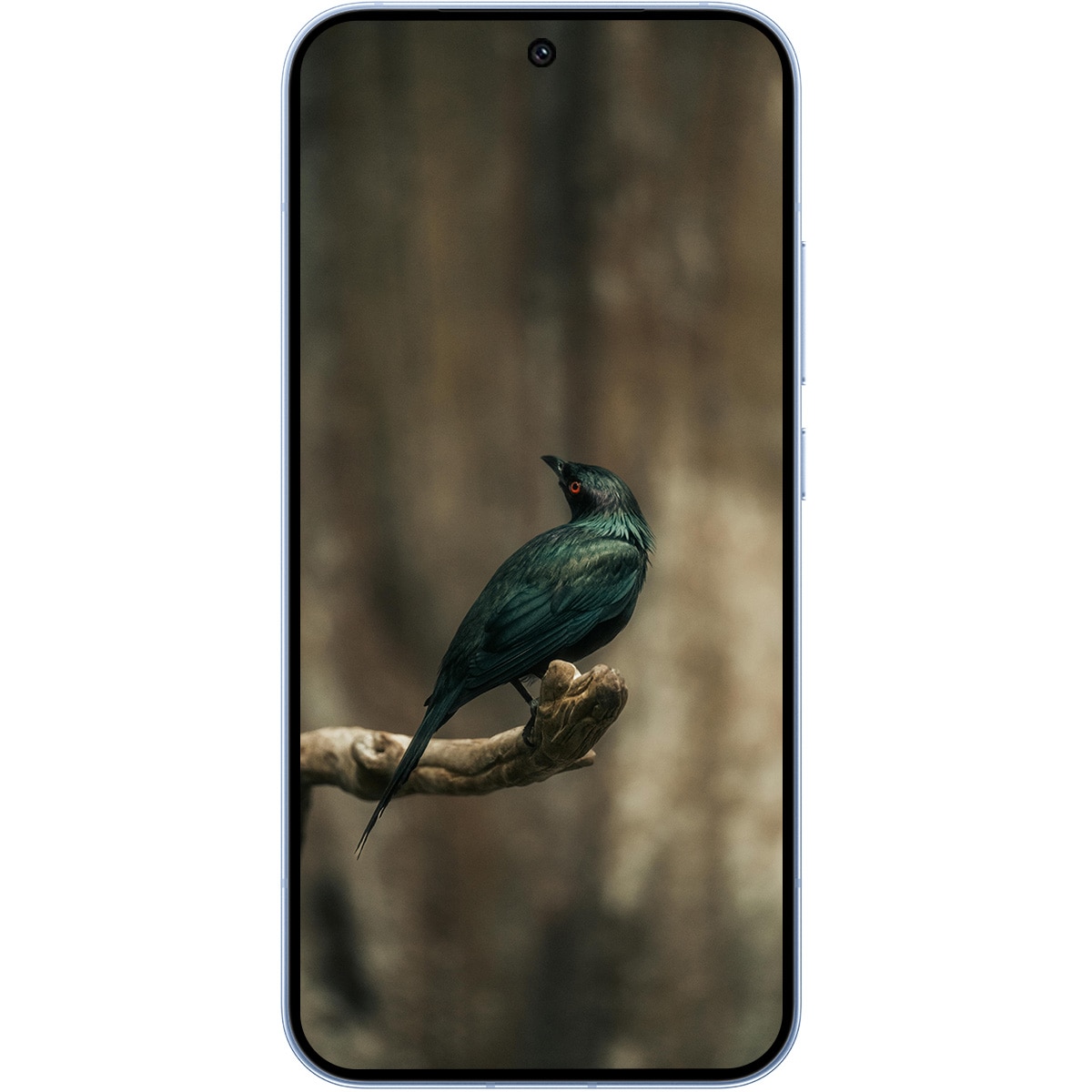 Telefon mobil Oppo Reno15 Pro, 12GB RAM, 256GB, 5G, Aurora Blue