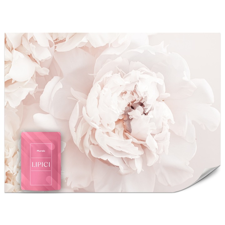 Fototapet Muralo Floare Pastel 350x256 Natura Pentru Living