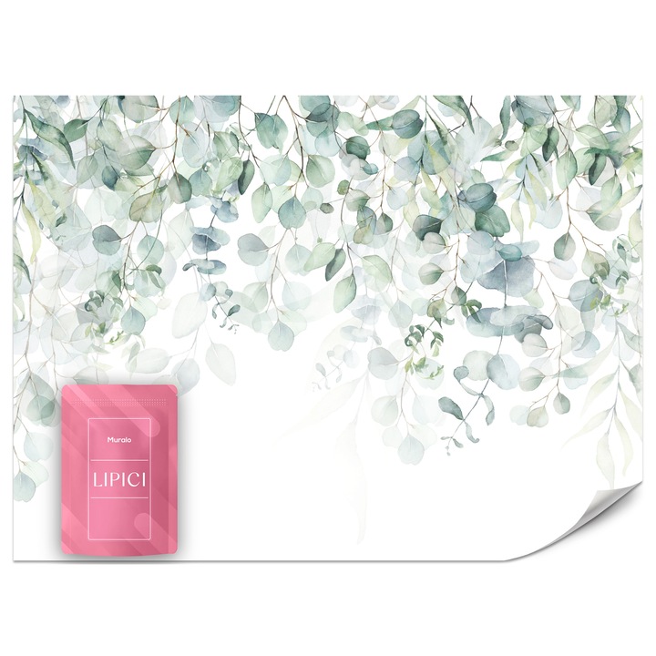 Fototapet Muralo Frunze De Eucalipt 500x350 Aquarel Pentru Living