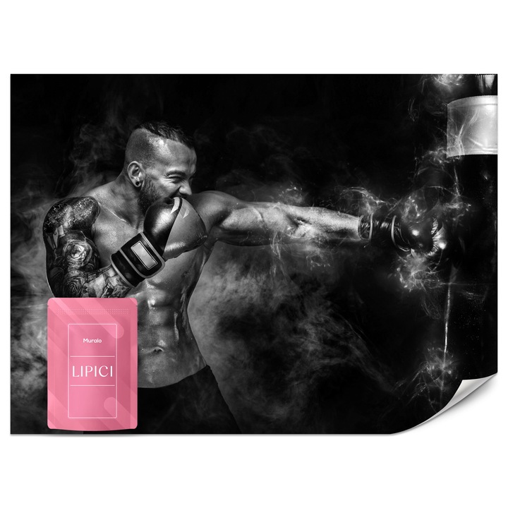 Fototapet Muralo Sport Boxer 150x105 Antrenament Pentru Living