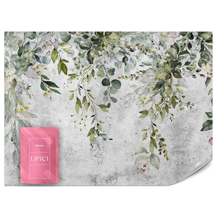 Fototapet Muralo Frunze Pe Beton 150x105 Modern Pentru Dormitor