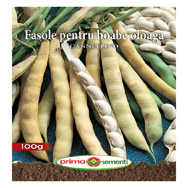 Семена на фасул Канелино, 100гр