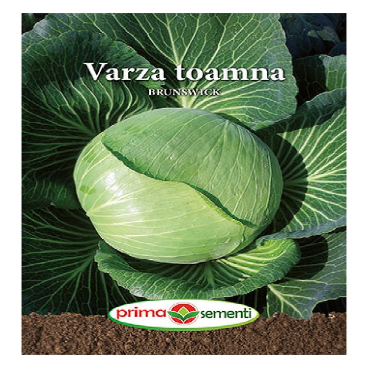 Seminte varza de toamna Brunswick GP