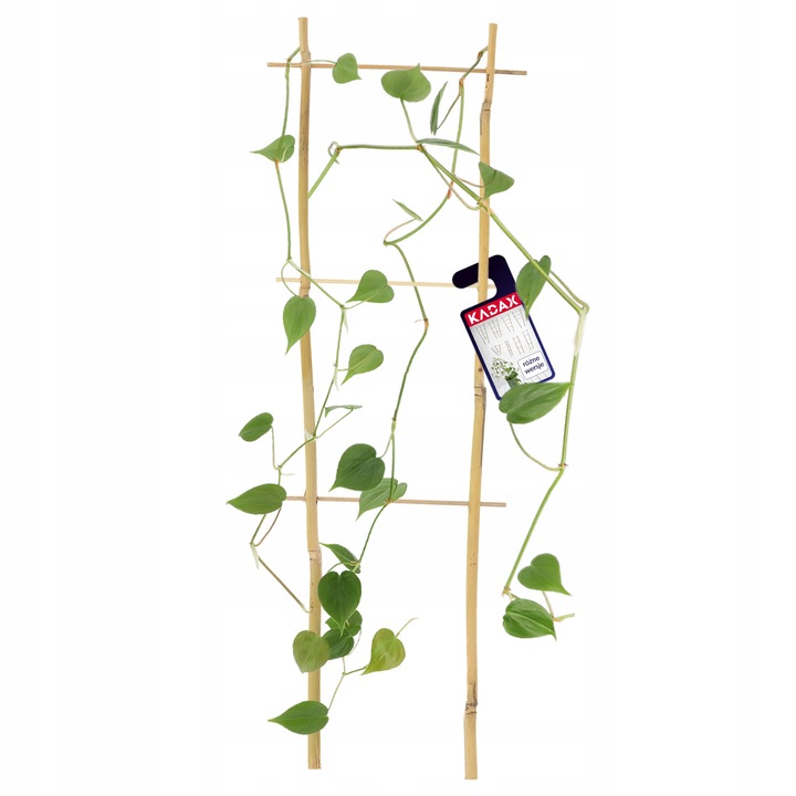 Scara din bambus, suport pentru plante, 45cm, dubla, KADAX