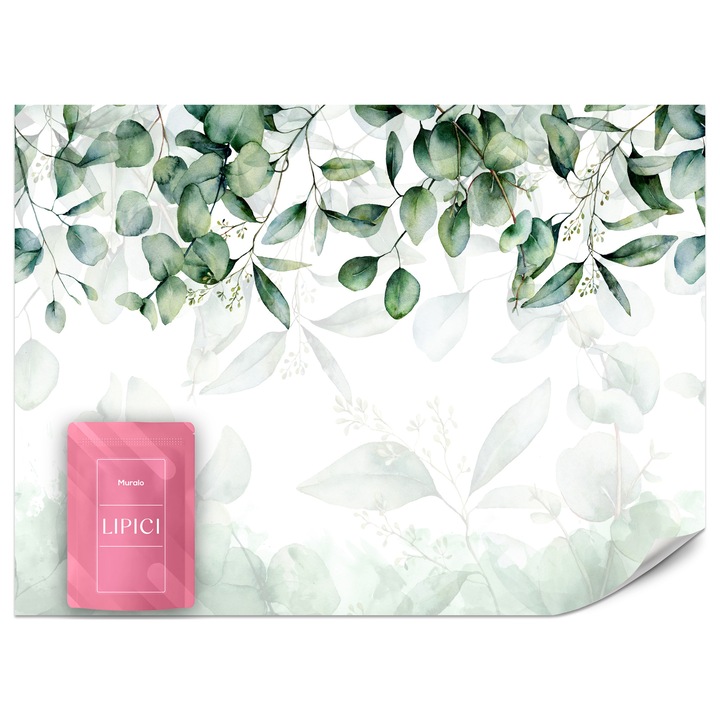 Fototapet Muralo Frunze De Eucalipt Natura 350x256 Tropicala Pentru Salon Modern