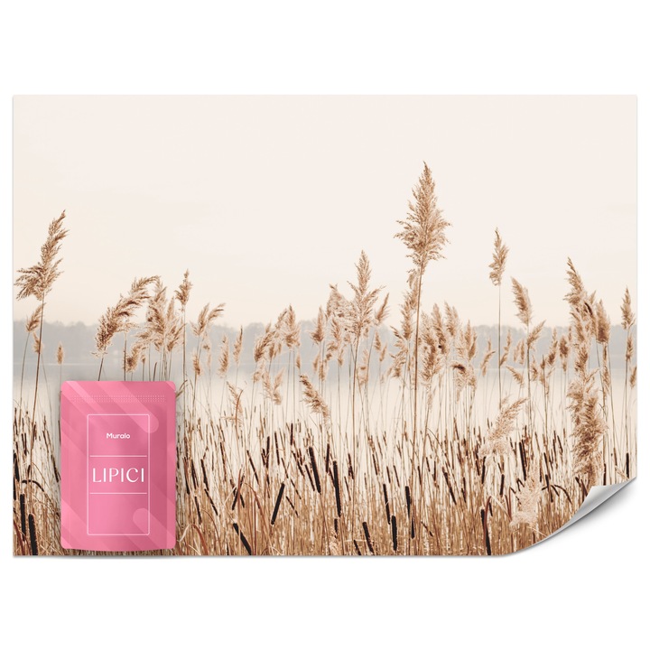 Fototapet Muralo Stuf Iarba Natura 150x105 Boho Pentru Dormitor Modern