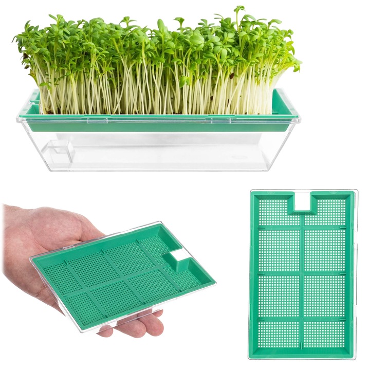 Germinatoare seminte KADAX set mic 16x10cm verde