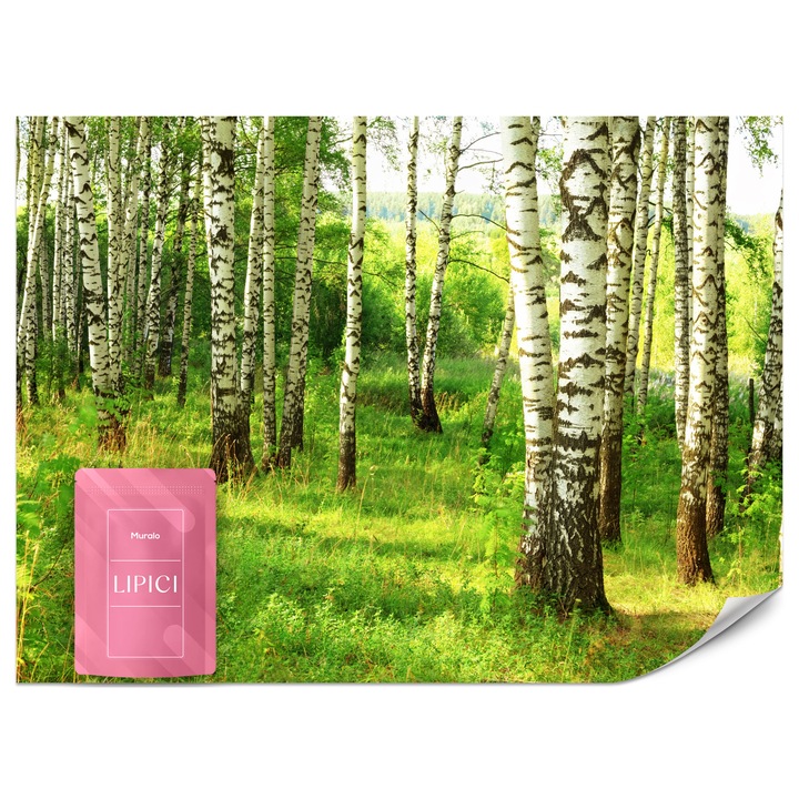 Fototapet Muralo Plopi Padure 150x105 Natura Pentru Dormitor Modern