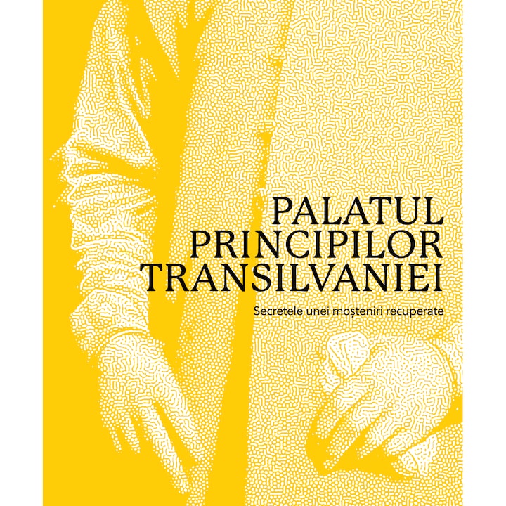 Palatul Principilor Transilvaniei: secretele unei mosteniri recuperate, Marius Cosmeanu